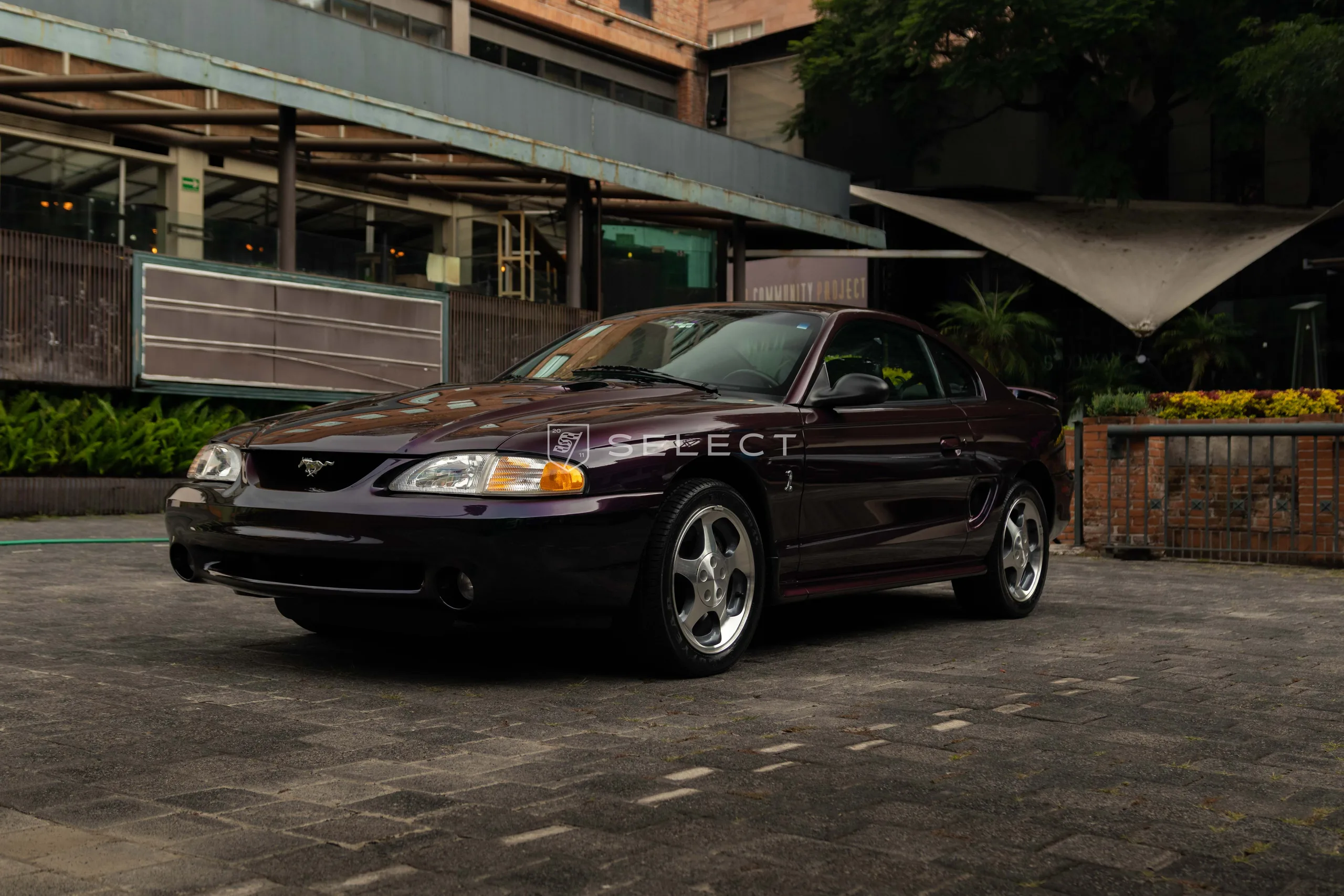 1996 Ford Mustang SVT Cobra